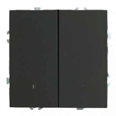 Фотография товара 'Feron 49838 Выключатели двухклавишный STEKKER RSW10-5102-05, серия Эмили'