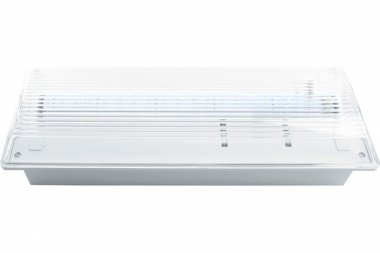 Фотография товара 'Feron Светильник аварийный, 20 LED AC/DC, белый, EM100 41535'