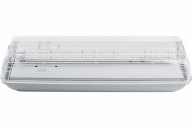 Фотография товара 'Feron Светильник аварийный, 20 LED AC/DC, белый, EM101 41536'