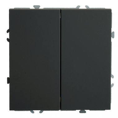 Фотография товара 'Feron 49843 Выключатели двухклавишный STEKKER RSW10-5107-05, серия Эмили'