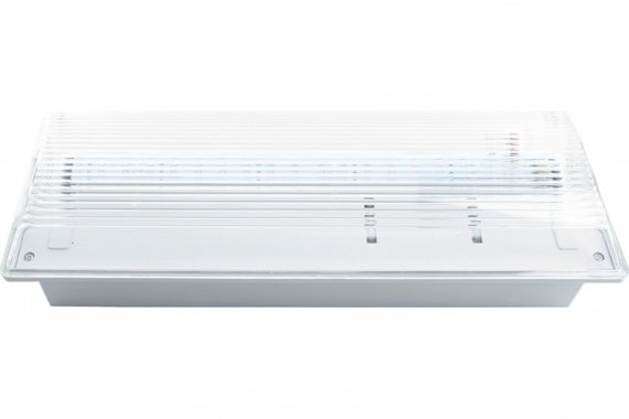 Фотография товара 'Feron Светильник аварийный, 20 LED AC/DC, белый, EM100 41535'