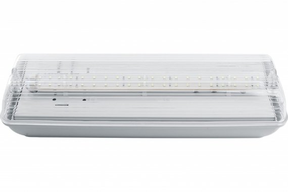 Фотография товара 'Feron Светильник аварийный, 20 LED AC/DC, белый, EM101 41536'